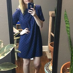 *2 for $20* Navy shift dress with velvet polka dots